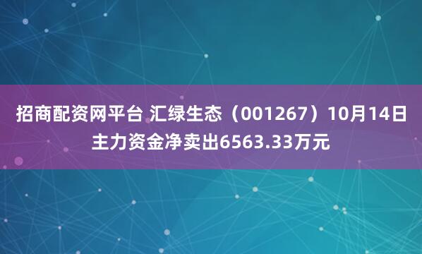 招商配资网平台 汇绿生态（001267）10月14日主力资金净卖出6563.33万元