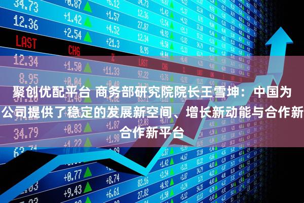 聚创优配平台 商务部研究院院长王雪坤：中国为跨国公司提供了稳定的发展新空间、增长新动能与合作新平台