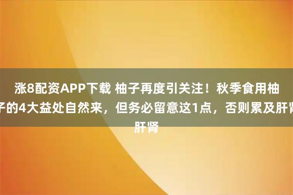 涨8配资APP下载 柚子再度引关注！秋季食用柚子的4大益处自然来，但务必留意这1点，否则累及肝肾
