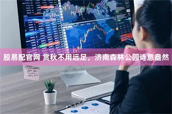 股易配官网 赏秋不用远足，济南森林公园诗意盎然