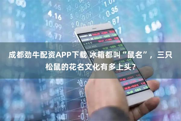 成都劲牛配资APP下载 冰箱都叫“鼠名”，三只松鼠的花名文化有多上头？