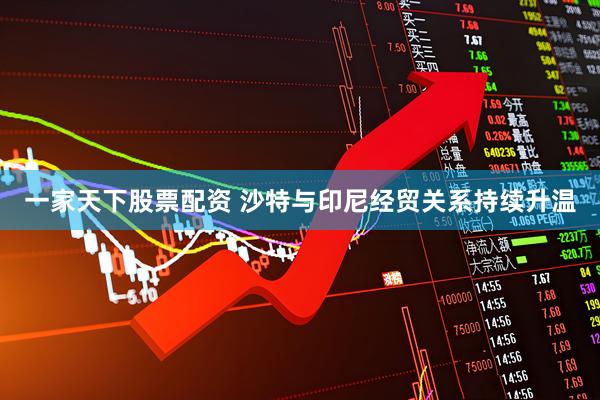 一家天下股票配资 沙特与印尼经贸关系持续升温