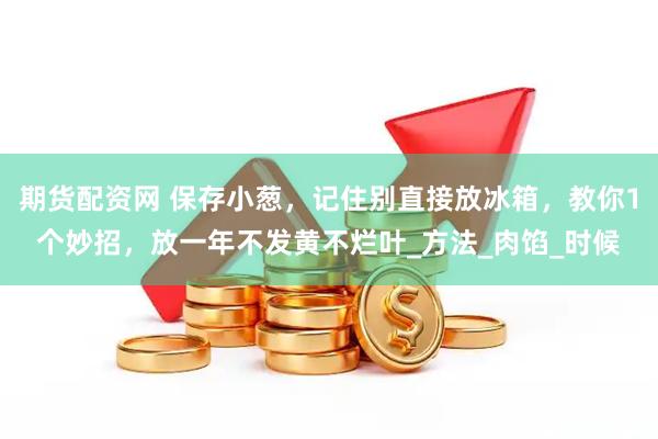 期货配资网 保存小葱，记住别直接放冰箱，教你1个妙招，放一年不发黄不烂叶_方法_肉馅_时候
